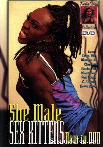 C.J. Bennett, Karen Dior, Monet Love, Monique Dichambers, Vanda Full, Barry Loose, Rick Rouge -  She-Male Sex Kittens (SD) Metro / Karen Dior Production [998,58 Mb]