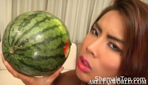 Areeya's World - Dildo Melon (HD 720p) Areeya's [535.5 MB]