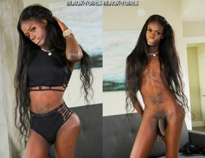 Skinny But Plenty - Black Shemale Solo from Black-TGirls - Shemale Porn Video on ShemaleTop