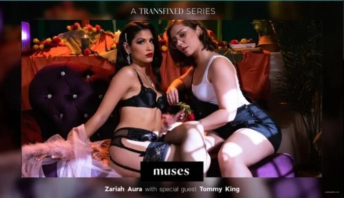 Tommy King, Zariah Aura [SD] 612.5 MB - Shemale Porn Video on ShemaleTop